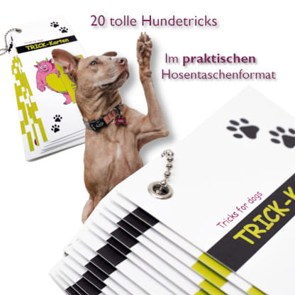 Hundetrick-Karten im Pocket-Format