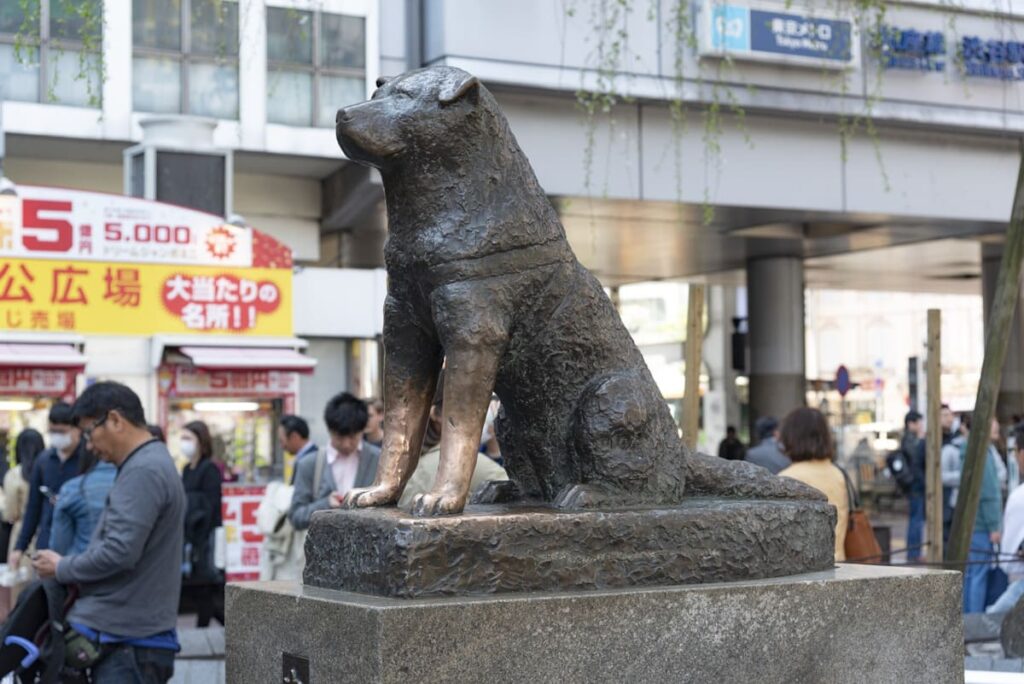 Statue des Hundes Hachiko