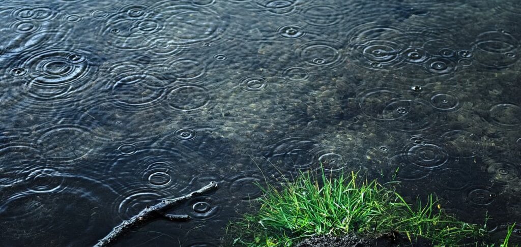 Regentropfen auf einer Teich-Oberfläche